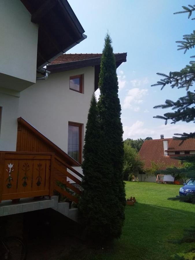 Casa Lacul Mierlei Hotel Sovata Exterior photo